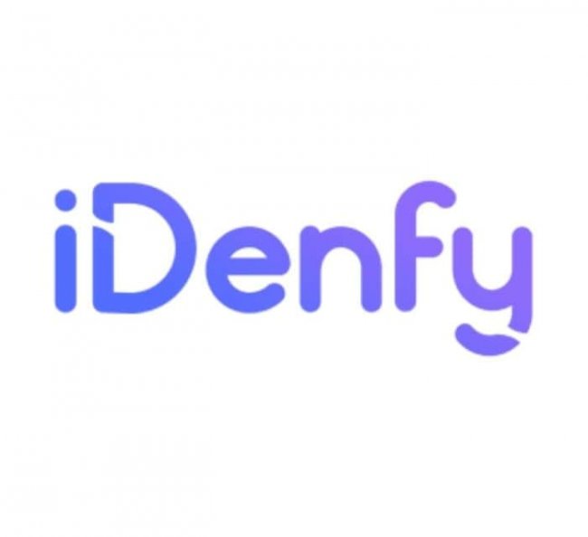 iDenfy logo